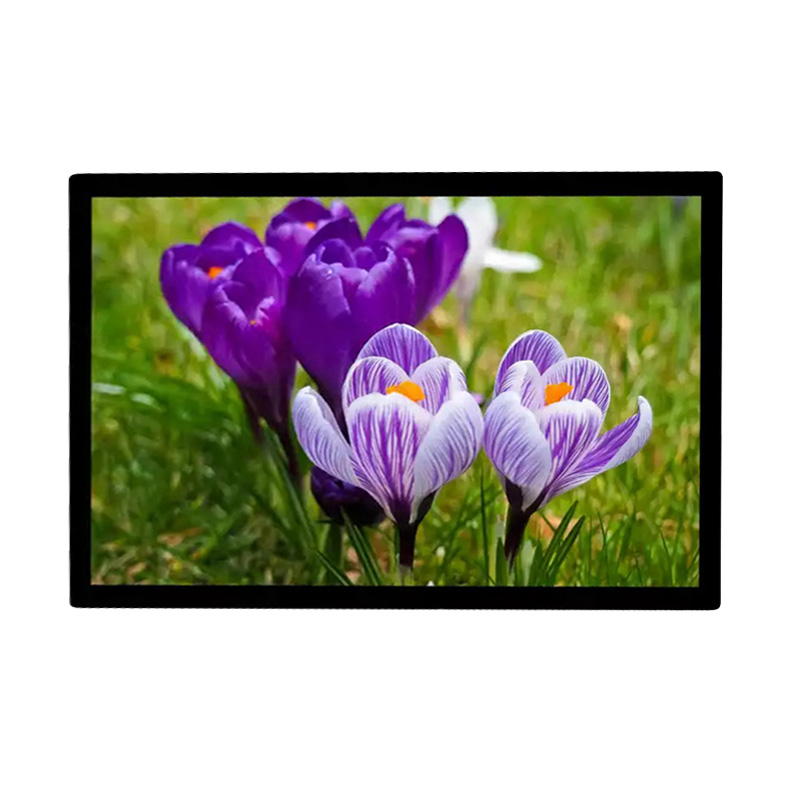 Màn hình cửa sổ hai mặt treo 65 inch